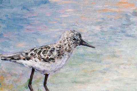 Framed Sandpiper IB Print