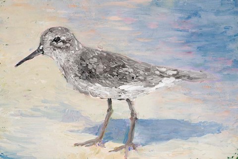 Framed Sandpiper IIB Print