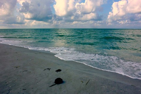 Framed Emerald Sea Print