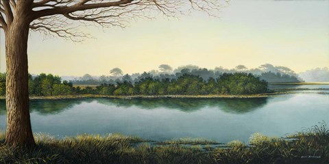 Framed Peaceful Afternoon Print