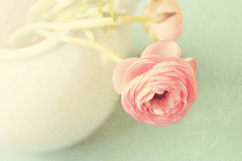 Framed Vintage Peony III Print