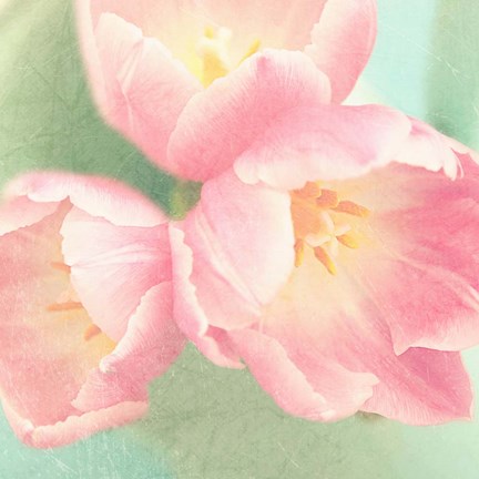 Framed Resplendent Blossoms I Print