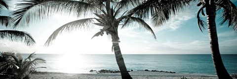 Framed Cool Bimini I Print