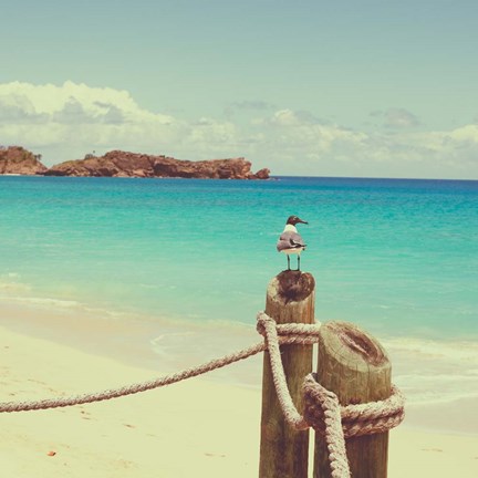 Framed Island Vacation II Print