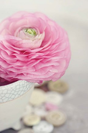 Framed Softy Elegant II Print