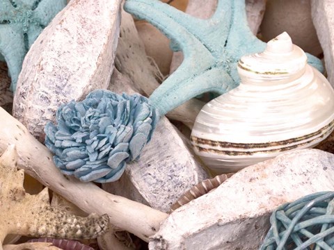 Framed Bundle of Shells II Print