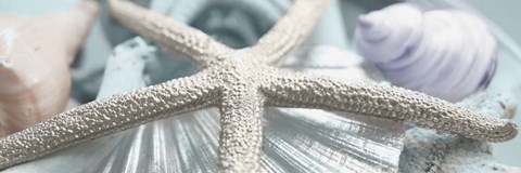 Framed Gold Seashells II Print