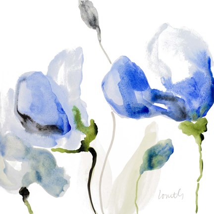 Framed All Poppies II Print