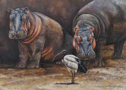 Framed Baby Hippos Print