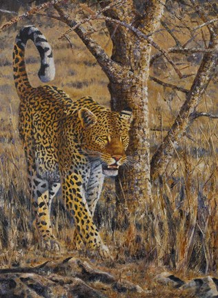 Framed Leopard Walking Print