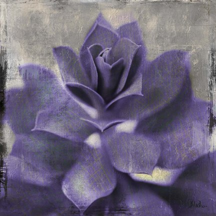 Framed Lavender Succulent I Print