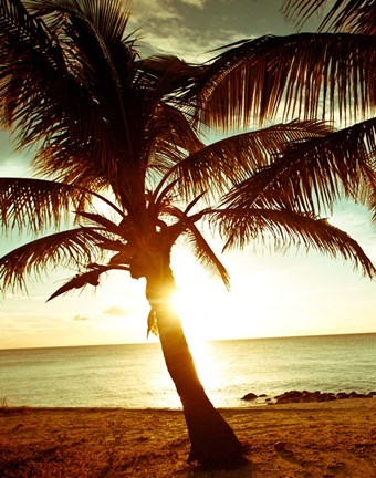 Framed Bimini Sunset I Print