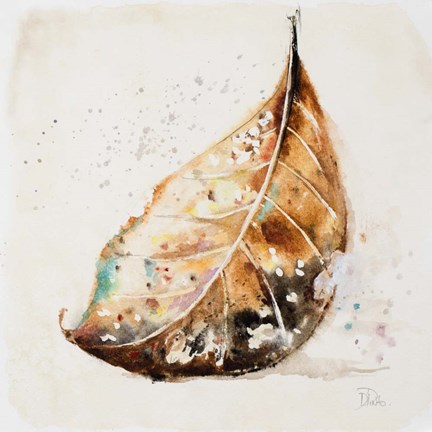 Framed Global Leaves II Print