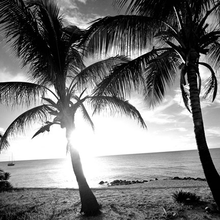 Framed BW Bimini Sunset I Print