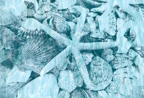 Framed East Coast Shells II Print