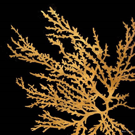 Framed Coastal Coral on Black I Print