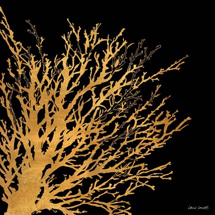 Framed Coastal Coral on Black II Print