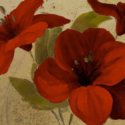 Framed Bahama Flower I Print