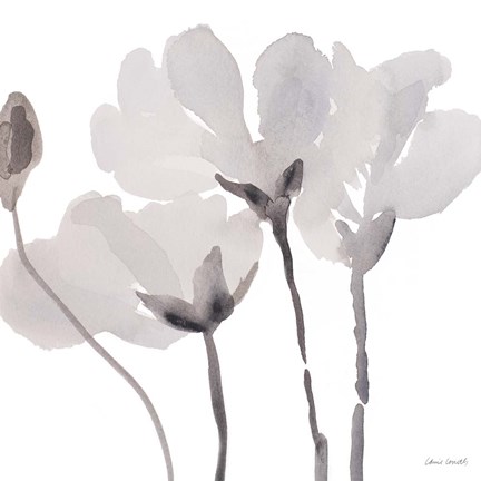 Framed Gray Tonal Magnolias II Print