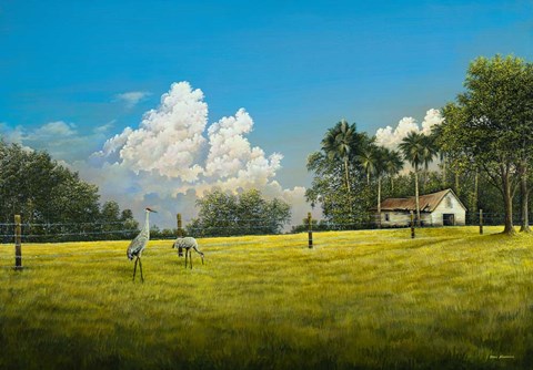 Framed Crane Field Print