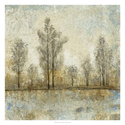 Framed Quiet Nature IV Print