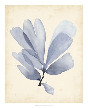 Framed Watercolor Sea Grass II Print