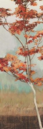 Framed Maple Tree I Print