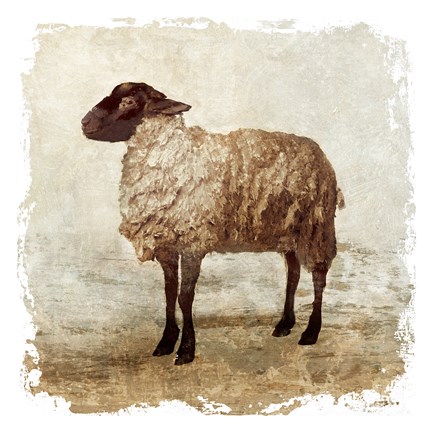 Framed Rustic Sheep Print