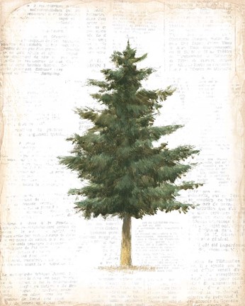 Framed Into the Woods Trees II Print