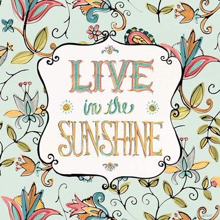 Framed Peace and Paisley I Print