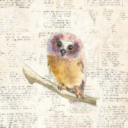 Framed Into the Woods II Print