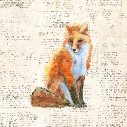 Framed Into the Woods IV Print