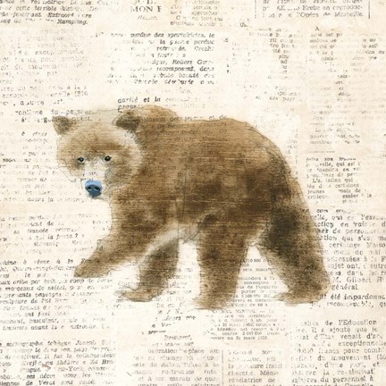 Framed Into the Woods VI Print