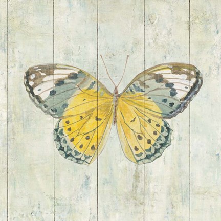 Framed Natural Flora IX Print