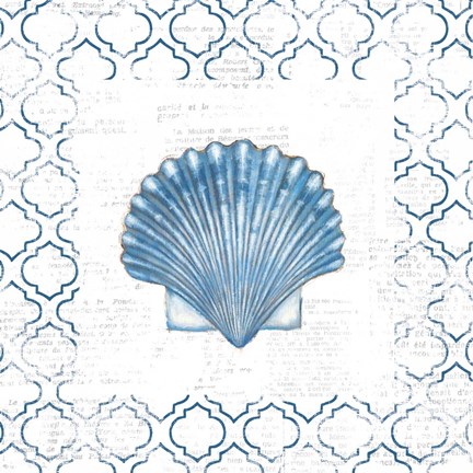 Framed Navy Scallop Shell on Newsprint Print