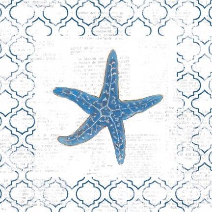 Framed Navy Starfish on Newsprint Print