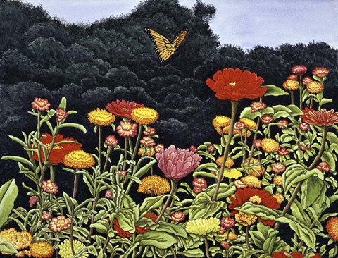 Framed Butterfly Print