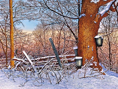 Framed Buckets And Branches Print