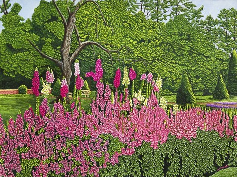 Framed Foxglove Garden Print