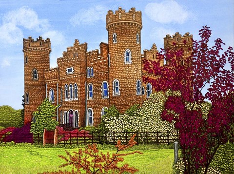 Framed Ireland - Clonyn Castle, Co Westmeath Print