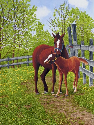 Framed Mother's Love, Machias Ny Print