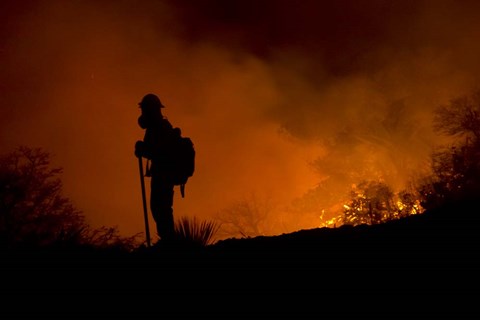 Framed Holding Line Print