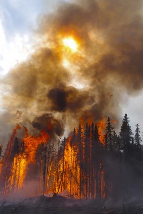 Framed Torching Print