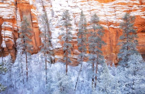 Framed Ponderosa Sandstone Print