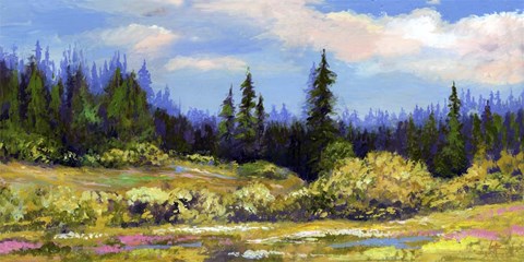 Framed Panarama Print