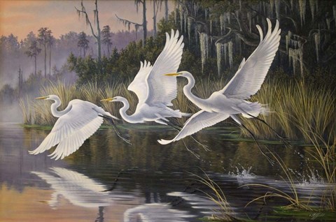 Framed Morning Departure Egrets Print