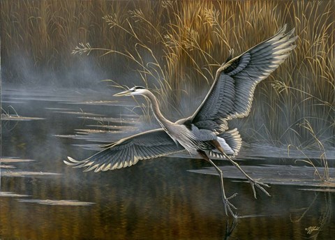 Framed Misty Flight Print