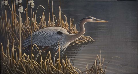 Framed Stalking The Edge - Heron Print