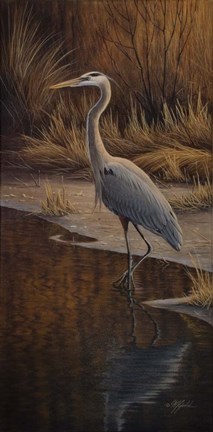 Framed Heron Wading Print