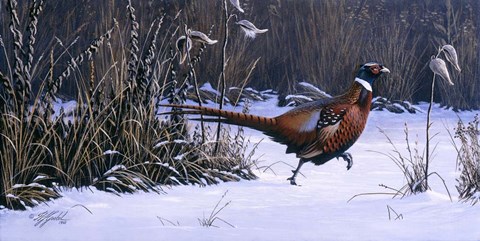 Framed Heading For Cover Print